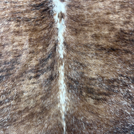 Beautiful Brazilian Speckled Tricolor Cowhide Rug Size: 7x6 feet Z-124