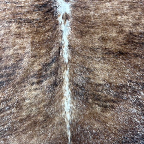 Beautiful Brazilian Speckled Tricolor Cowhide Rug Size: 7x6 feet Z-124