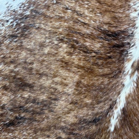 Beautiful Brazilian Speckled Tricolor Cowhide Rug Size: 7x6 feet Z-124