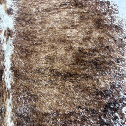 Beautiful Brazilian Speckled Tricolor Cowhide Rug Size: 7x6 feet Z-124
