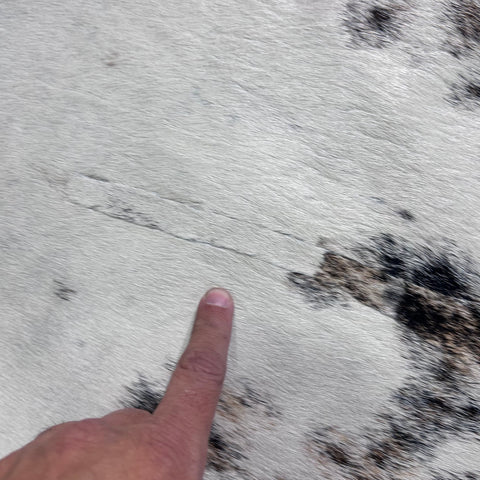 Beautiful Tricolor Brindle Cowhide Rug (beige and black tones) Size: 8x7 feet Z-125