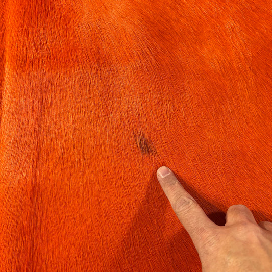 Dyed Orange Cowhide Rug Size: 7.2x6 feet D-898