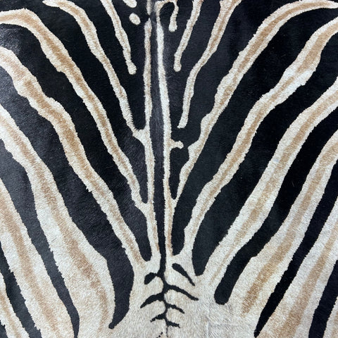 Genuine Zebra Print Cowhide Rug Size: 7x6 feet Z-289