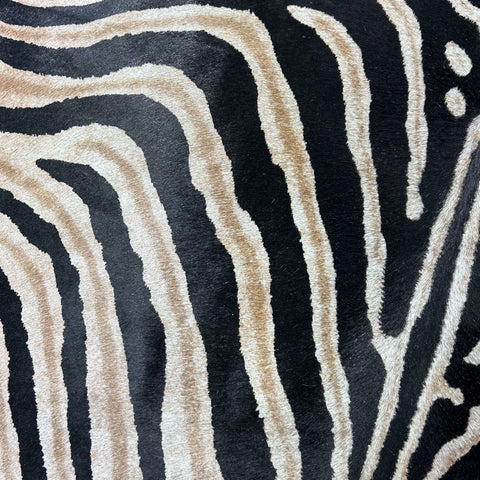 Genuine Zebra Print Cowhide Rug Size: 7x6 feet Z-289