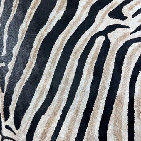 Genuine Zebra Print Cowhide Rug Size: 7x6 feet Z-289