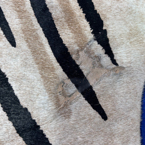Genuine Zebra Print Cowhide Rug Size: 7x6 feet Z-289