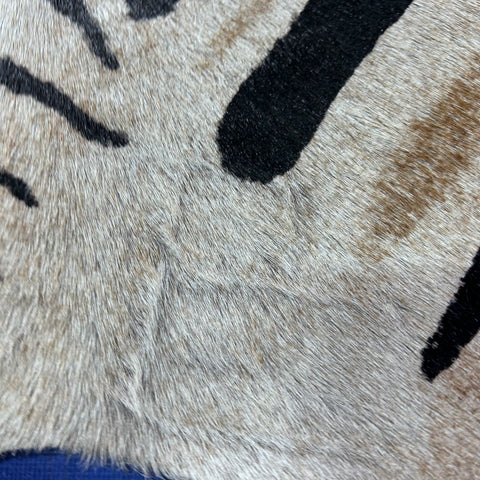 Genuine Zebra Print Cowhide Rug Size: 7x6 feet Z-289
