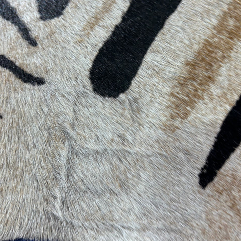 Genuine Zebra Print Cowhide Rug Size: 7x6 feet Z-289