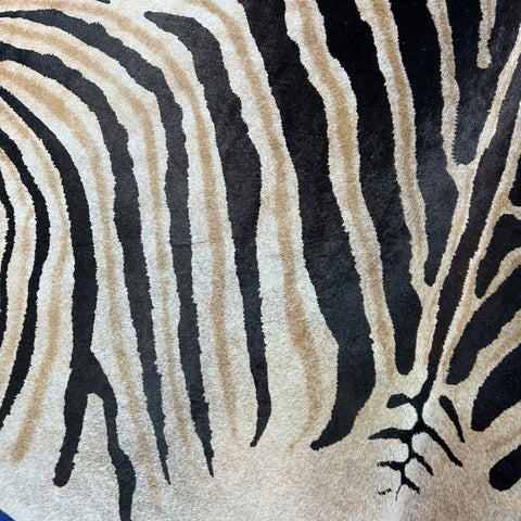 Genuine Zebra Print Cowhide Rug Size: 7x6 feet Z-290