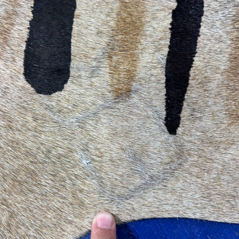 Genuine Zebra Print Cowhide Rug Size: 7x6 feet Z-290