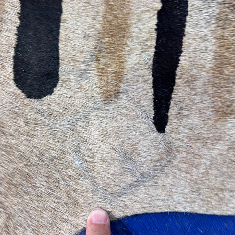 Genuine Zebra Print Cowhide Rug Size: 7x6 feet Z-290