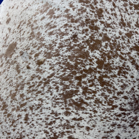 Salt & Pepper Brown and White Cowhide Rug (a bit of a hump) Size: 7x6 feet Z-291