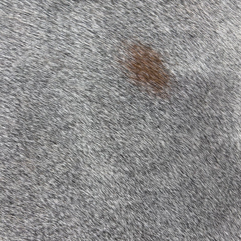 Natural Grey Cowhide Rug (fire brands + some beige spots) Size: 7x6 feet Z-294