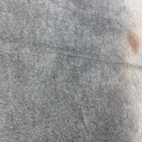 Natural Grey Cowhide Rug (fire brands + some beige spots) Size: 7x6 feet Z-294