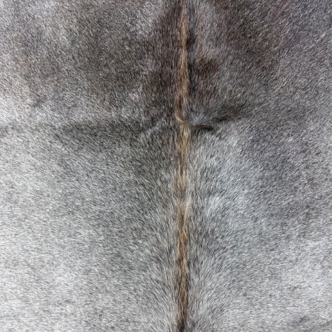 Natural Grey Cowhide Rug (fire brands + some beige spots) Size: 7x6 feet Z-294