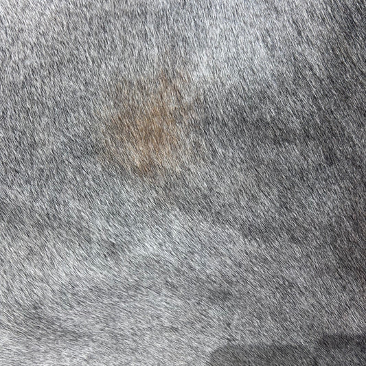 Natural Grey Cowhide Rug (fire brands + some beige spots) Size: 7x6 feet Z-294
