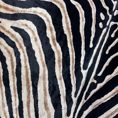 Genuine Zebra Print Cowhide Rug (some stripes are blurry) Size: 7x6 feet Z-296