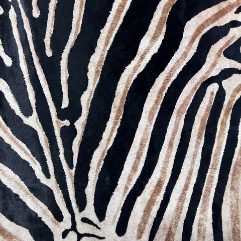 Genuine Zebra Print Cowhide Rug (some stripes are blurry) Size: 7x6 feet Z-296