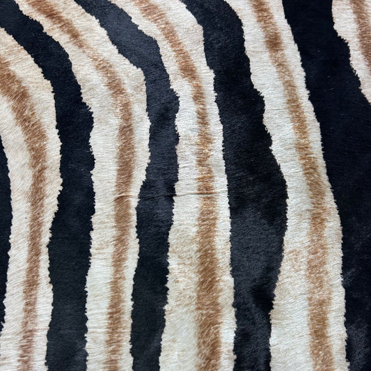 Genuine Zebra Print Cowhide Rug (some stripes are blurry) Size: 7x6 feet Z-296