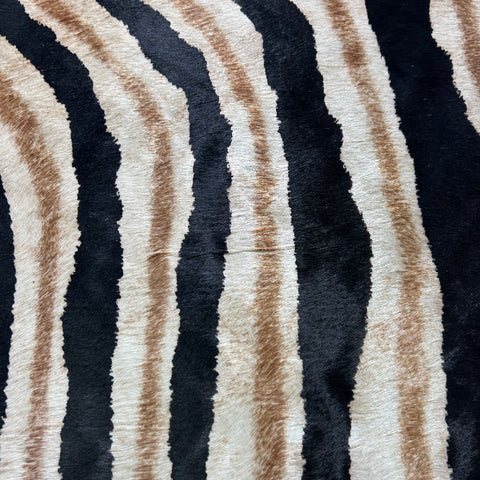 Genuine Zebra Print Cowhide Rug (some stripes are blurry) Size: 7x6 feet Z-296