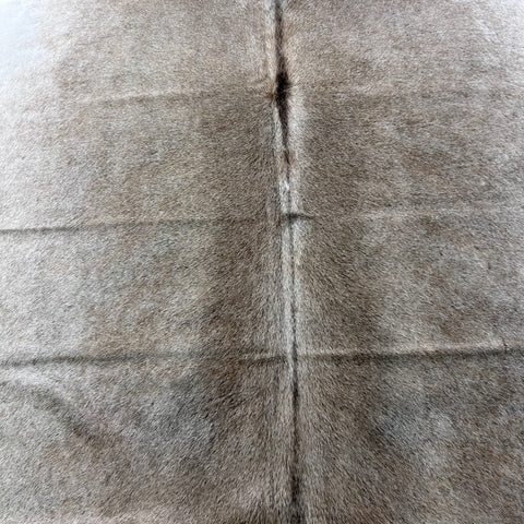 Natural Grey Cowhide Rug Size: 7x7 feet Z-297