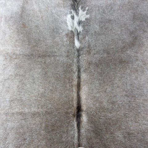 Natural Grey Cowhide Rug Size: 7x7 feet Z-297