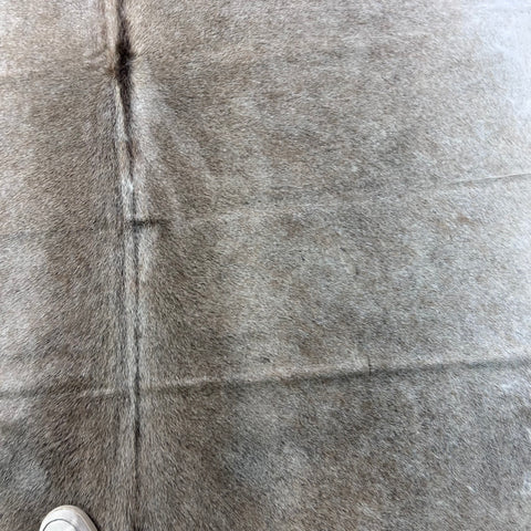 Natural Grey Cowhide Rug Size: 7x7 feet Z-297