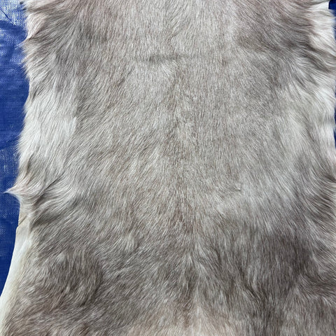 White Blesbok Skin Size: 42x34" F-016