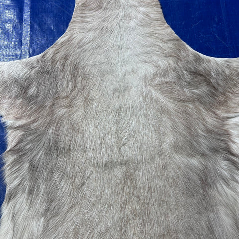 White Blesbok Skin Size: 42x34" F-016