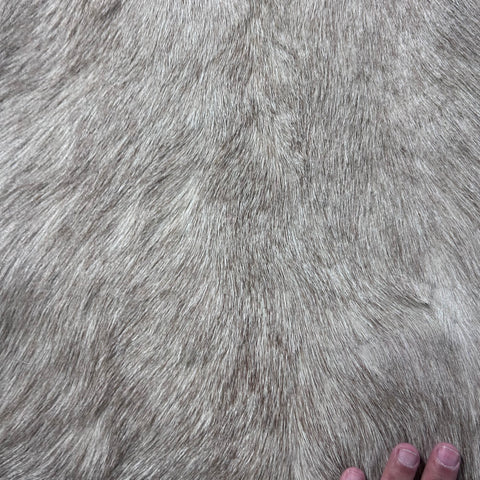 White Blesbok Skin Size: 42x34" F-016
