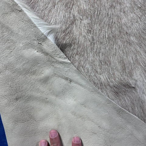 White Blesbok Skin Size: 42x34" F-016