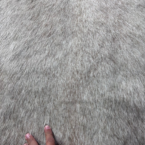 White Blesbok Skin (big patch) Size: 44x33" F-017