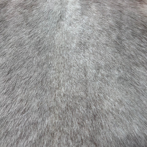 White Blesbok Skin (big patch) Size: 44x33" F-017