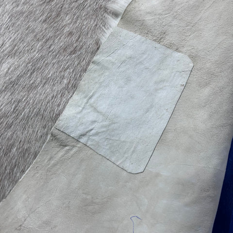 White Blesbok Skin (big patch) Size: 44x33" F-017