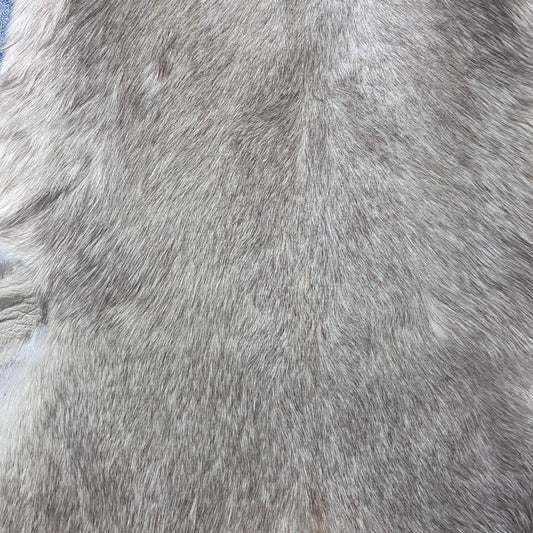 White Blesbok Skin Size: 44x29" F-018