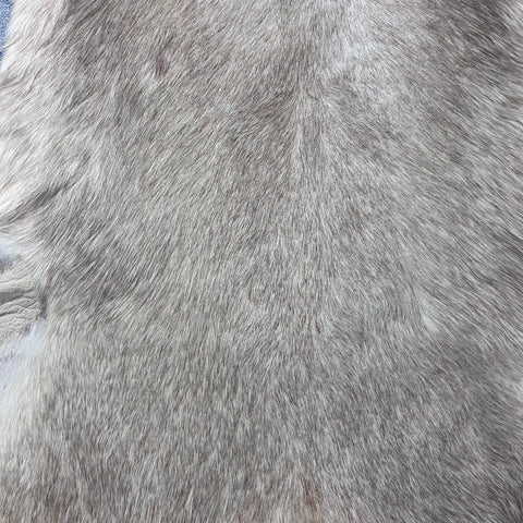 White Blesbok Skin Size: 44x29" F-018