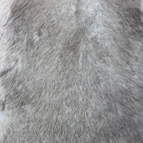 White Blesbok Skin Size: 44x29" F-018