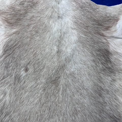 White Blesbok Skin Size: 44x29" F-018