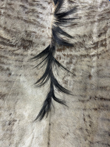 Wildebeest Skin Rug (Tail is 36") Size: 63x57" CD-403