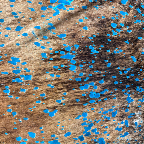 Brindle Cowhide Rug with Turquoise Acid Washed Size: 7.5x6.2 feet D-906