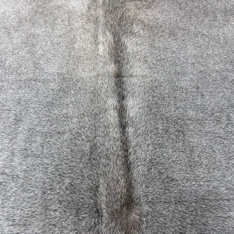 Natural Grey Cowhide Rug Size: 7x7 feet X-006