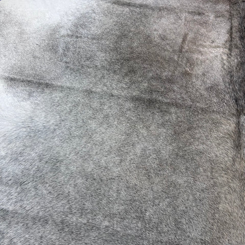 Natural Grey Cowhide Rug Size: 7x7 feet X-006