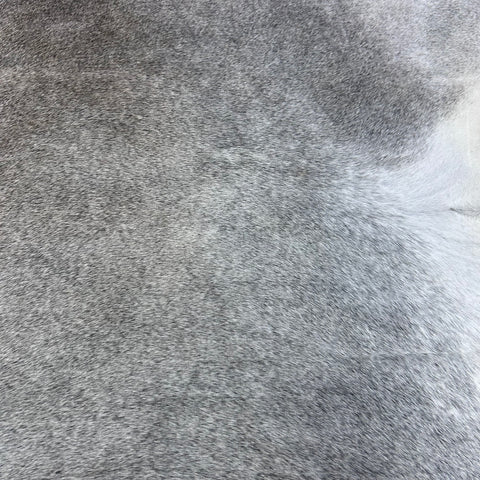 Natural Grey Cowhide Rug Size: 7x7 feet X-006