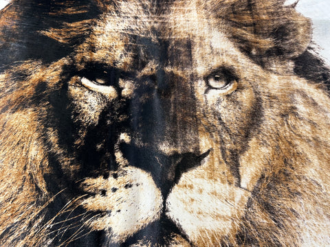 Lion Print Cowhide Rug Size: 7x6.2 feet D-417