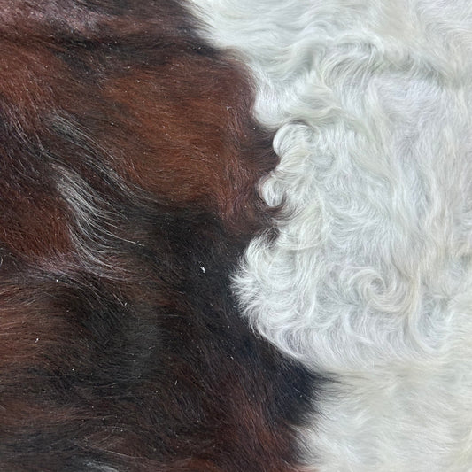 Tricolor Cowhide Rug (longish hair) Size: 7x7 feet X-012