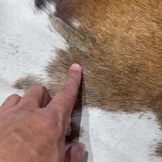 Brown and White Reddish Cowhide Rug (2 patches) Size: 7x6.5 feet X-015