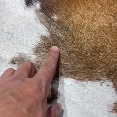 Brown and White Reddish Cowhide Rug (2 patches) Size: 7x6.5 feet X-015