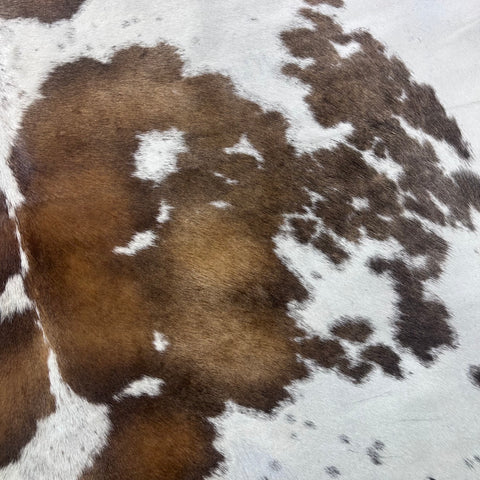 Brown and White Reddish Cowhide Rug (2 patches) Size: 7x6.5 feet X-015