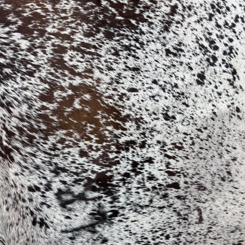 Brown and White Speckled Cowhide Rug (gorgeous!) Size: 7x6 feet Y-207
