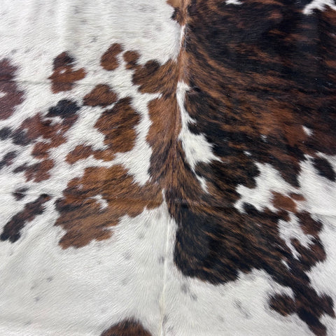Tricolor Cowhide Rug (39.25 sq ft) Size: 7.2x6.2 feet Colombia-218